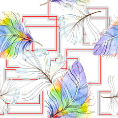 Colorful bird feather from wing isolated. Watercolour drawing fashion aquarelle isolated. Seamless background pattern.
