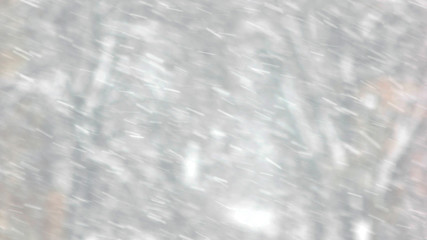 Falling snow against trees. Christmas winter snow storm. Abstract winter background.