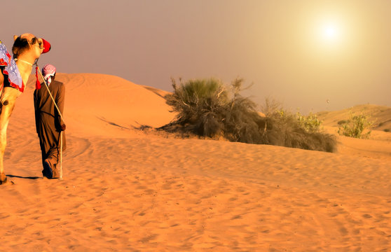 Camel safari sunset sand dunes landscape