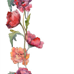 Red poppy floral botanical flower. Watercolor background illustration set. Seamless background pattern.