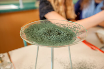 Special green powder is on a plate in the chemistry class.