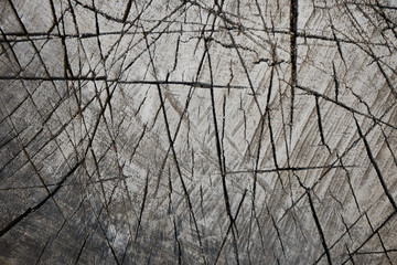 wood texture 1