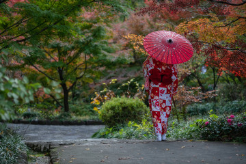 Geisha walking in the park in Autumn