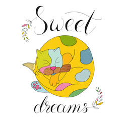 vector illustration sleeping colorful cat on white background with calligraphy text sweet dreams