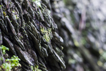 Conjunto de rocas planas