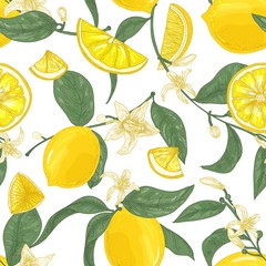 Seamless pattern with lemons, whole and cut into pieces, flowers and leaves on white background. Backdrop with citrus fruits. Natural vector illustration in elegant vintage style for wrapping paper.