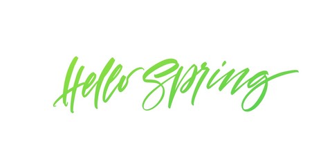 Obraz premium Hello Spring. Hand drawn calligraphy and brush pen lettering. Vector illustration