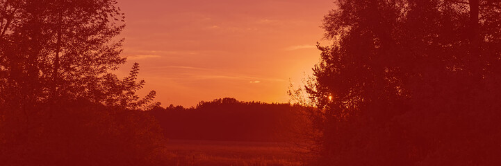 Sunset in the meadow, countryside landscape. Web banner for design.