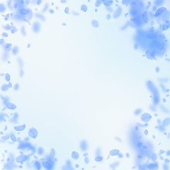 Dark blue flower petals falling down. Wondrous rom