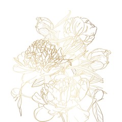 Peonies golden outline bouquet on white background. Spring summer flowers design elements.