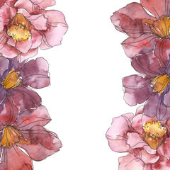 Red camelia. Floral botanical flower. Watercolor background illustration set. Frame border ornament...