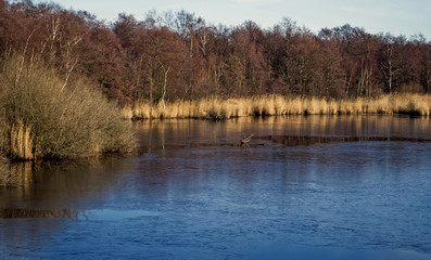 R&uuml;ckzugsraum bedrohter Tier- und Pflanzenarten