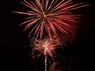 Firework amusement entertainment fun  at night