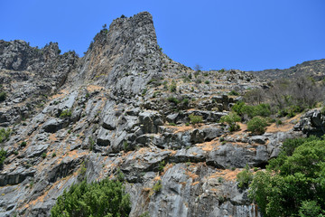 Gray rocks in Kings Canyon National Park, California, USA
