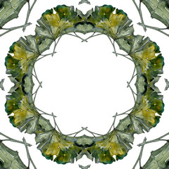 Yellow green ginkgo biloba leaf. Watercolor background illustration set. Frame border ornament square.