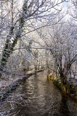 river Wuerm in munich with snow covered trees and frost