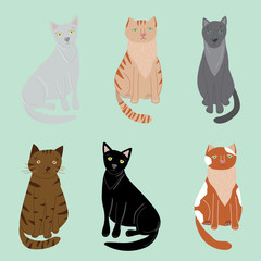 Cartoon Cute Cat Signs Icon Set. Vector
