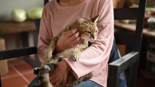 woman hold a cat