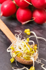 Healthy sprouted radish seeds containing vitamins and minerals