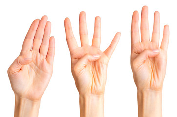 Set of woman hands showing four fingers and palm