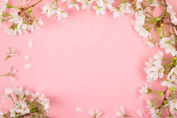 Fototapeta na wymiar Pink springtime background with cherry blossom