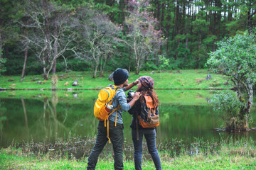 Asian couples, relax on holiday. travel nature taking photographs pink sakura.