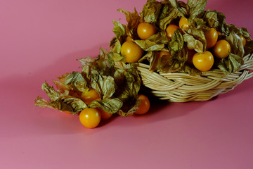 Cape gooseberry on pink background and space for write wording, sweet juicy taste fruit, high vitamin, mineral fruit sold in market and department for making many kinds of dessert or fresh served