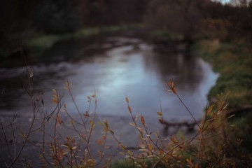 A small river overgrown with grass. Autumn landscape with water