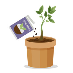 Growing plant in the pot using plant fertilizer