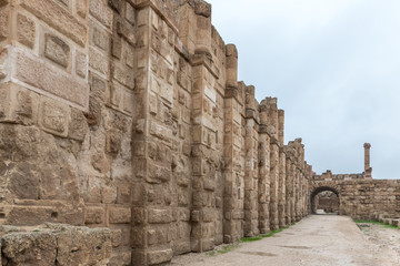The road leading from South Gate in the ruins of the great Roman city of Jerash - Gerasa, destroyed by an earthquake in 749 AD, located in Jerash city in Jordan © svarshik