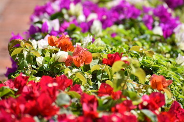 Flores colores mixtos 2 