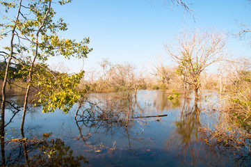 View of moat with trees around Preah Neak Poan temple on Cambodia