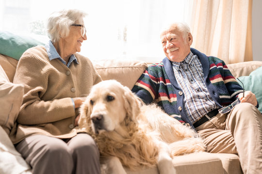 Portrait of happy senior couple with dog sitting on couch together and enjoying retirement