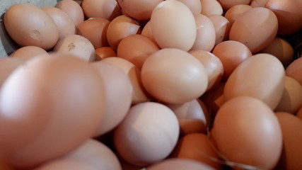 eggs for background
