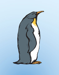 Penguin. Vector drawing