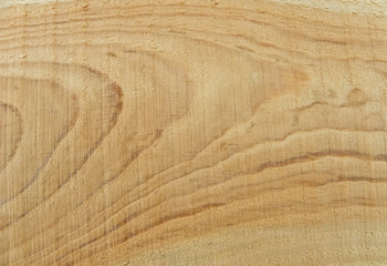 The texture of the pine tree, the tree in the cut.