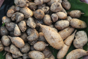 Obraz premium Top view wild yams boiled at Fresh market in Thailand