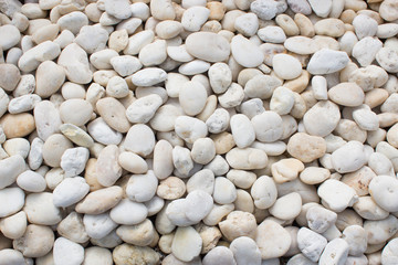  White pebble stones