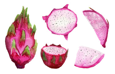 Hand drawn dragon fruit set