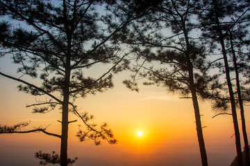 Fototapeta na wymiar Sunrise at Pha Nok Aen Phu Kradueng,in Loei, Thailand