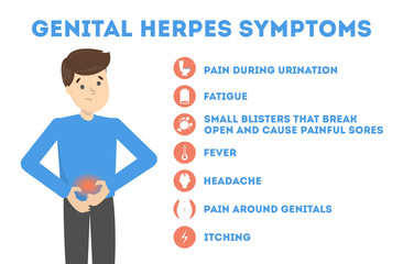 Genital herpes symptoms. Infectious dermatology disease illustration