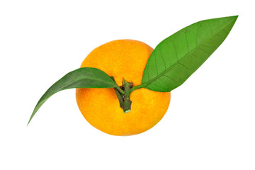 Tangerine or clementine with green leaf isolated on white background.