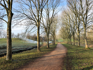 Fototapeta na wymiar Path through the Mayor Rasterhoffpark in Sneek