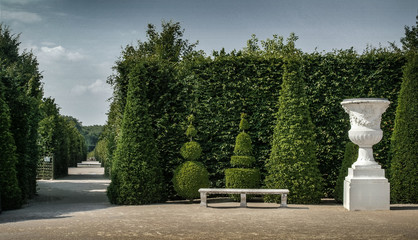Fototapeta na wymiar garden of the castle of Versailles