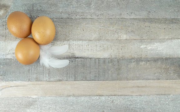 Brown chicken eggs with feather at wooden background