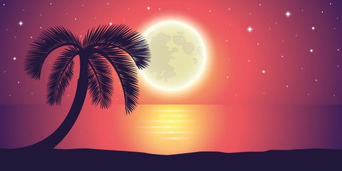 romantic night full moon by the sea with palm tree landscape vector illustration EPS10