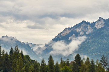 Naklejka premium Beautiful panoramic view of the Pieniny National Park, Poland, in rainy and foggy september day