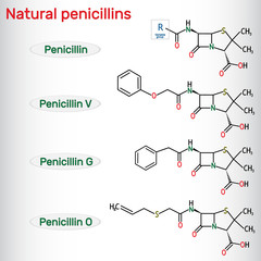 Natural penicillins antibiotic drug molecule. Benzylpenicillin , phenoxymethylpenicillin, almecillin. Structural chemical formula - obrazy, fototapety, plakaty