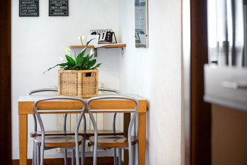 Green plants in a rustic basket in a modern kitchen with stylish interior design elements. 