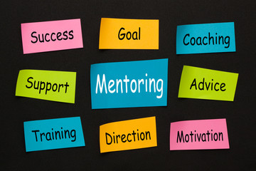 Mentoring Diagram Concept